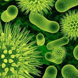 desktop-wallpaper-bacteria-microbiology